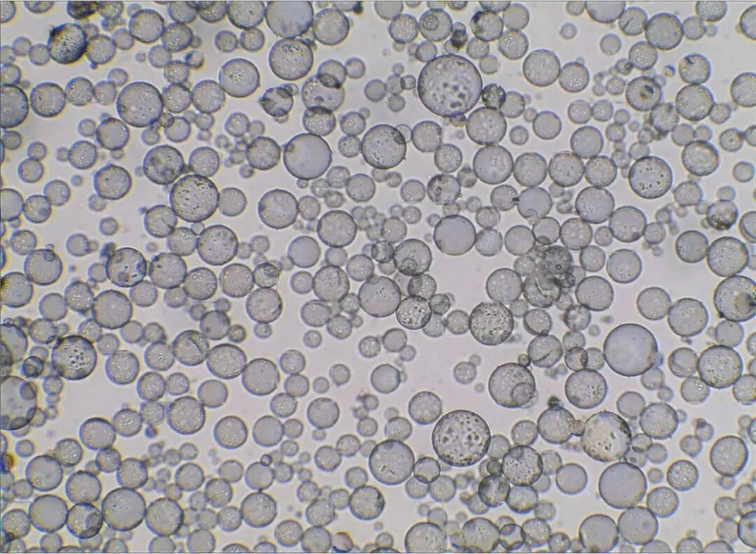 快思瑞2026届校招(图2)